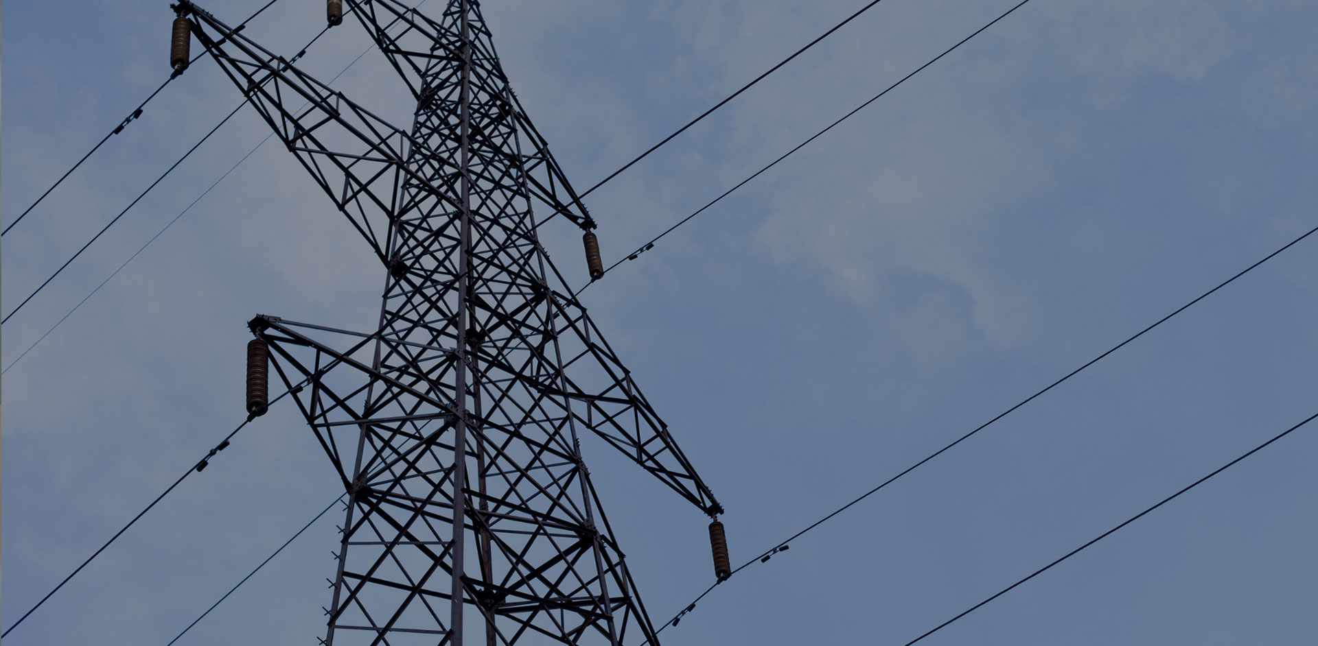 1,438% ROI Realized With New Technical Records Program