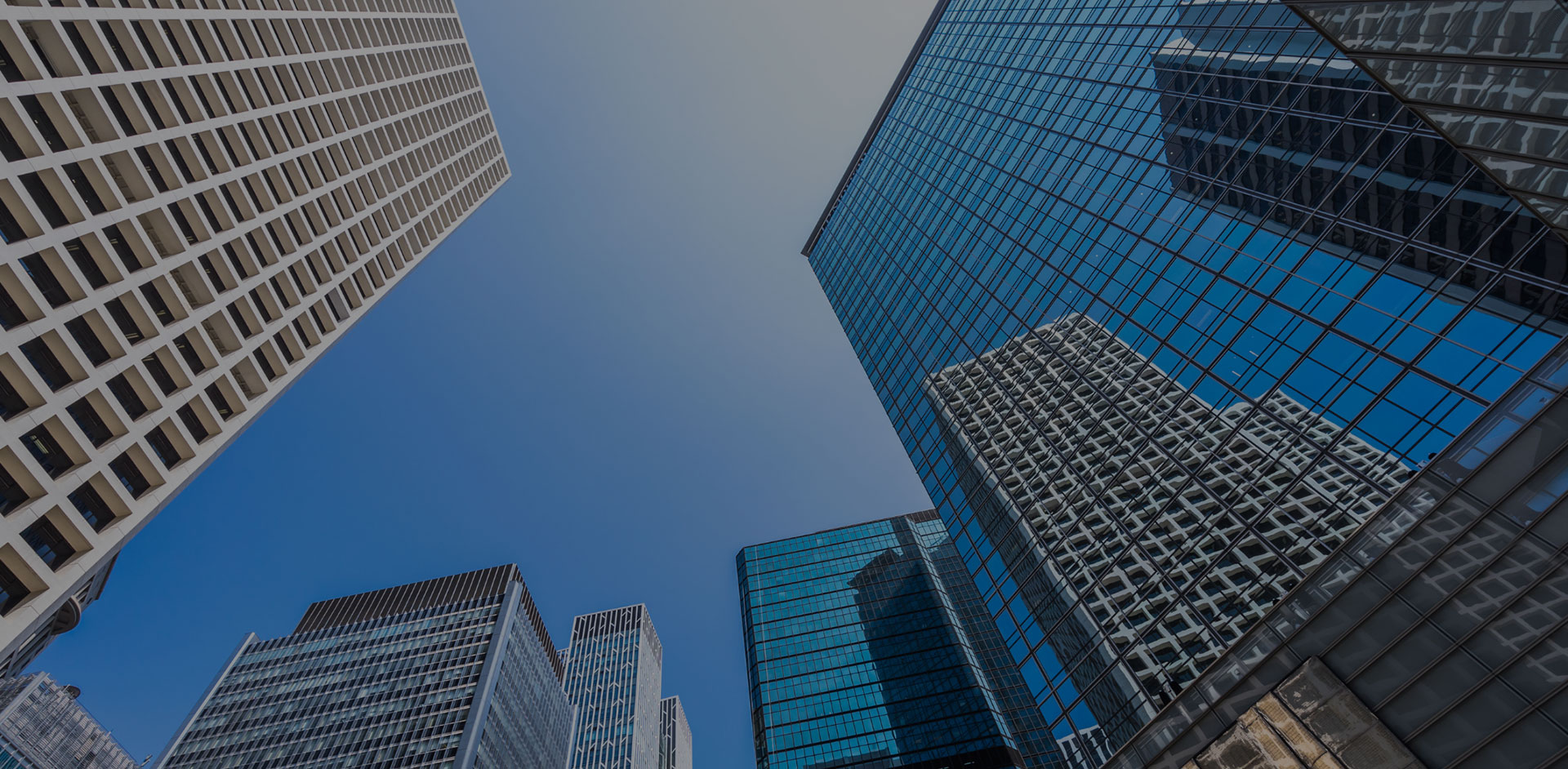 Automated Response Eliminates Snap Audit Penalties